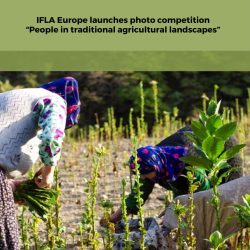 People in Agricultural Landscapes cover (153 x 214 mm) - 1